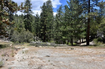 Enlarge photo 20