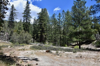 Enlarge photo 2