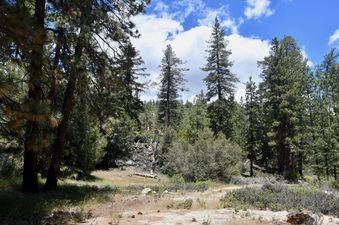 Enlarge photo 15