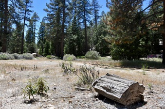 Enlarge photo 22