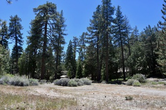 Enlarge photo 10