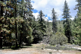 Enlarge photo 12