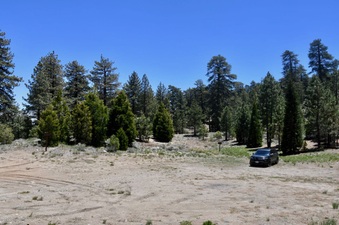 Enlarge photo 2