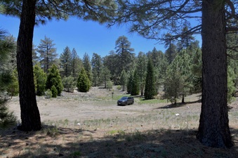 Enlarge photo 6