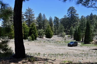 Enlarge photo 7