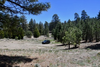 Enlarge photo 10