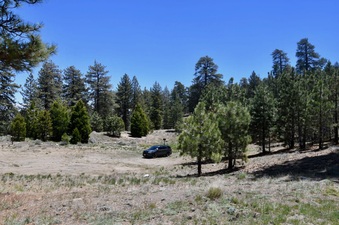 Enlarge photo 15