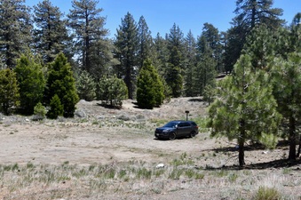Enlarge photo 16