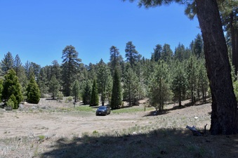 Enlarge photo 17