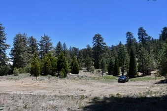 Enlarge photo 18