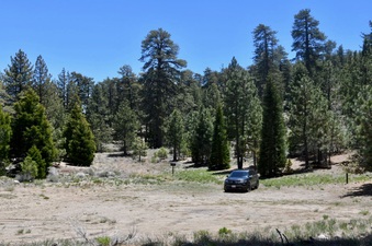 Enlarge photo 19