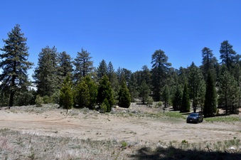 Enlarge photo 23
