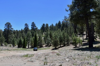 Enlarge photo 24