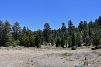 Enlarge photo 25
