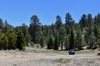 Enlarge photo 26