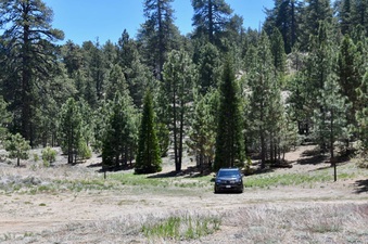 Enlarge photo 27