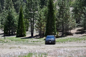 Enlarge photo 28