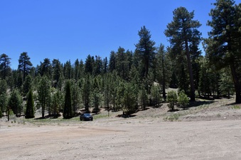 Enlarge photo 29