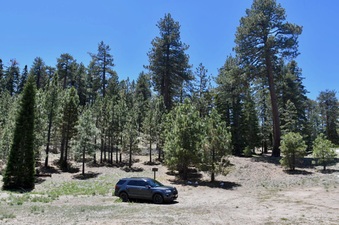 Enlarge photo 38
