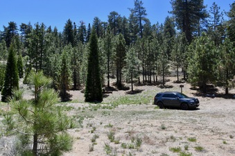 Enlarge photo 39