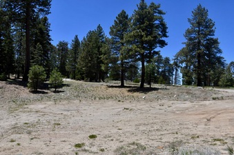 Enlarge photo 42