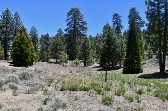 Enlarge photo 43