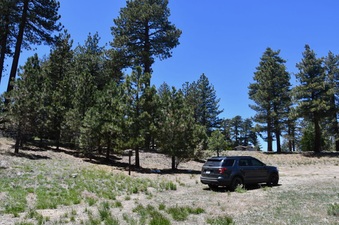 Enlarge photo 45