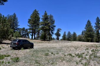 Enlarge photo 46