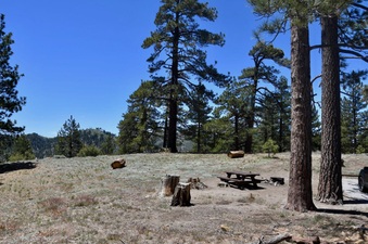 Enlarge photo 2