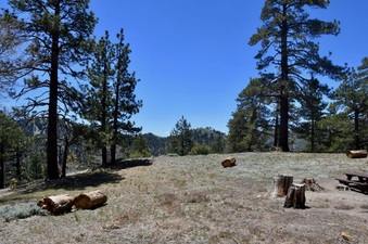 Enlarge photo 3