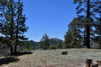 Enlarge photo 5
