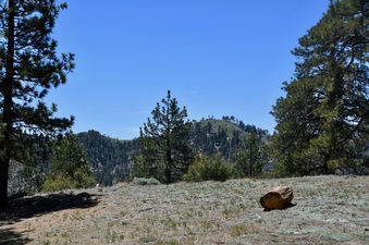 Enlarge photo 6