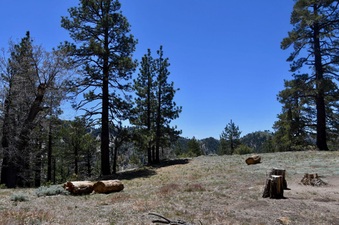 Enlarge photo 7