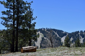 Enlarge photo 15