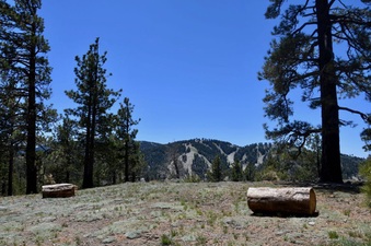 Enlarge photo 16