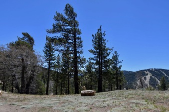 Enlarge photo 17
