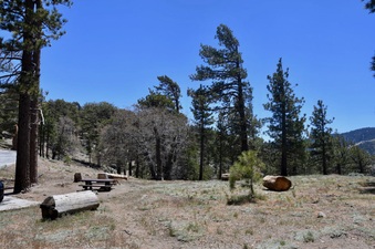 Enlarge photo 18
