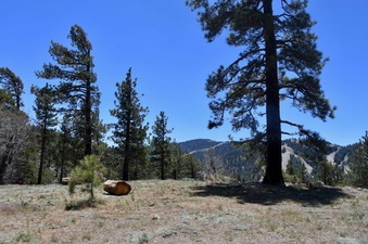 Enlarge photo 19