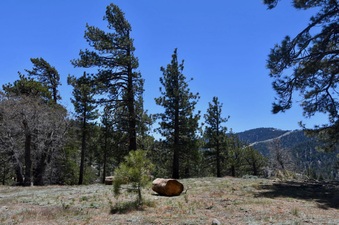 Enlarge photo 20
