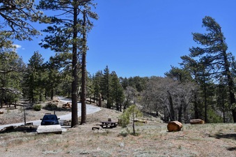 Enlarge photo 21
