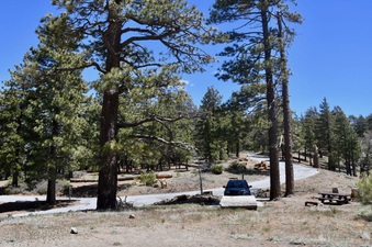 Enlarge photo 22