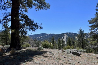 Enlarge photo 23