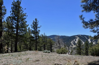 Enlarge photo 24