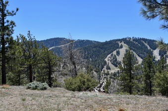 Enlarge photo 25