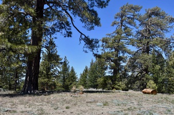 Enlarge photo 27