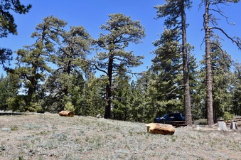 Enlarge photo 28