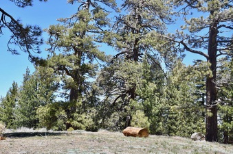 Enlarge photo 30