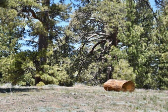 Enlarge photo 31
