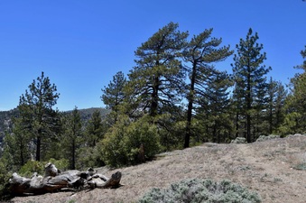 Enlarge photo 32