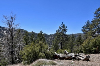 Enlarge photo 33
